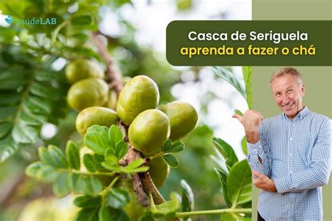 Como fazer o chá da casca da seriguela Saiba fazer e aprecie seus