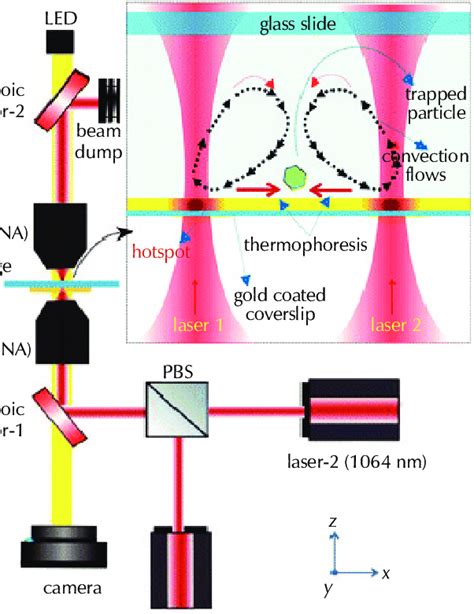 Schematic Diagram Of Optical Tweezers Setup Cc By Nc Slika