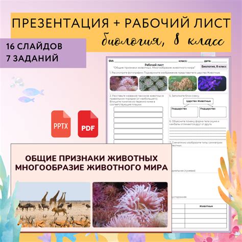 Урок по биологии “Общие признаки животных. Многообразие животного мира ...