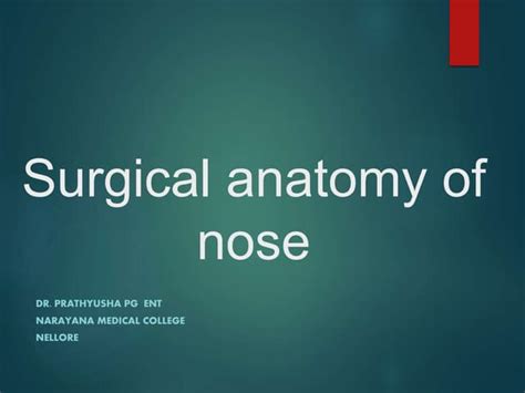 Surgical Anatomy Of Nose Ppt