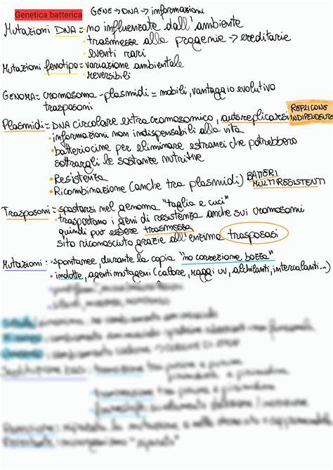 Solution Microbiologia Genetica Batterica Studypool