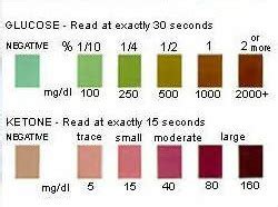 read ketone strips accurately healthacharya
