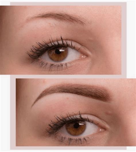 Bold Eyebrows Thick Brows Natural Brows Eyebrow Embroidery Female