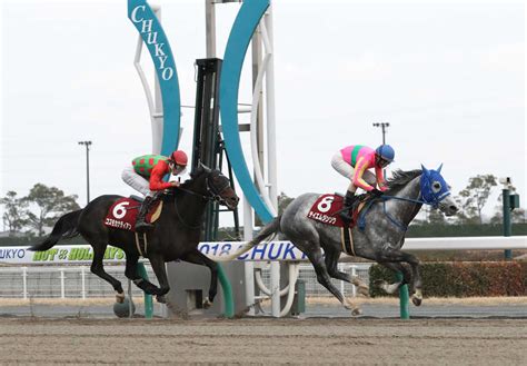 【東海s】テイエムジンソクが逃げ切る― スポニチ Sponichi Annex ギャンブル