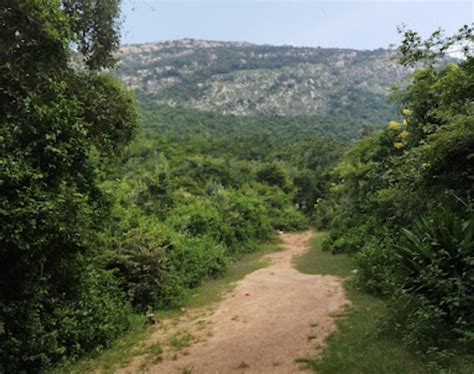 Ramadevar Siddhar Jeevasamadhi, Alagar Hills R.F, Tamil Nadu - Sannidhi The Presence