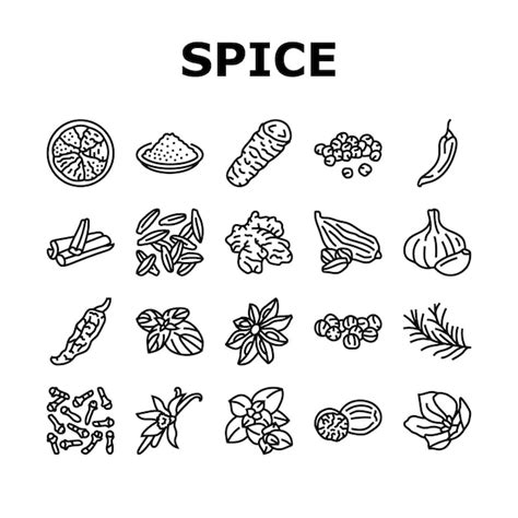 Premium Vector Spice Food Herb Leaf Icons Set Vector