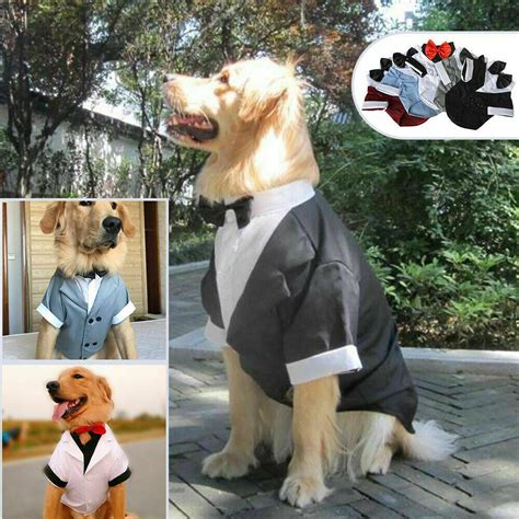 Pin On Roupas Para Cachorros