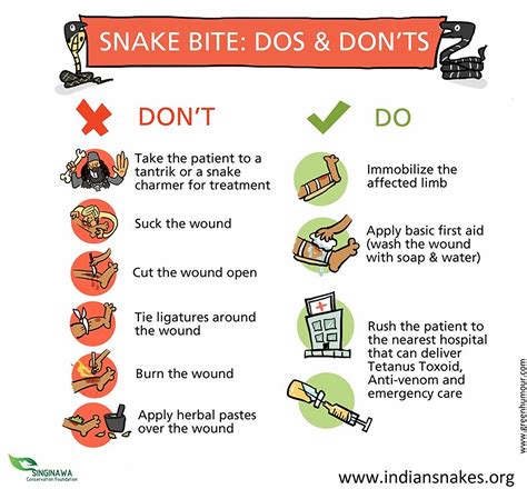 Infographic Snake Bite First Aid Recoil Offgrid