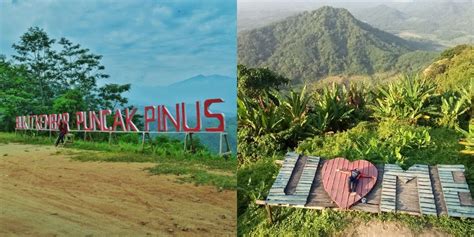 Bukit Kembar Puncak Pinus Surga Tersembunyi Di Karawang Yang Instagramable