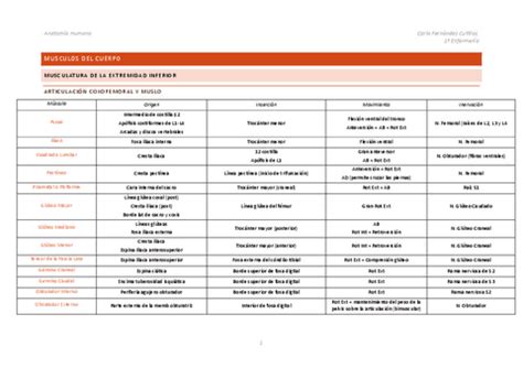 Tabla Musculos Extremidad Inferior Pdf