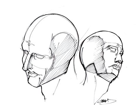 Human Head Sketch at PaintingValley.com | Explore collection of Human ...