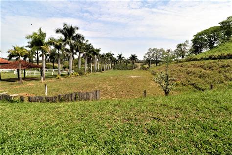 Haras de 4 5 alqueires à venda em Porto Feliz SP Viva Rural Imóveis