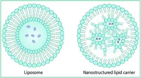 Types Of Lipid Based Nanotechnology The Liposome Includes A Download Scientific Diagram