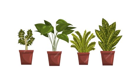 Premium Vector Indoor House Plants In Flowerpots Set Home Or Office Interior Decoration Vector