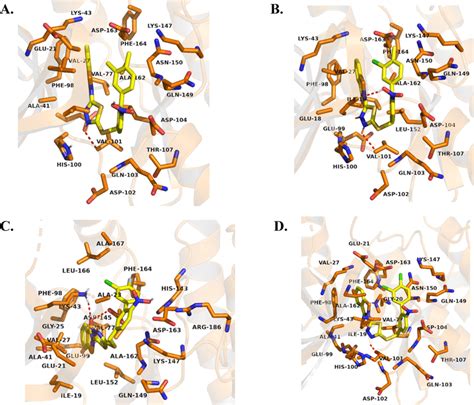 Representation Of The Predicted Binding Modes Of Compound Of A C B