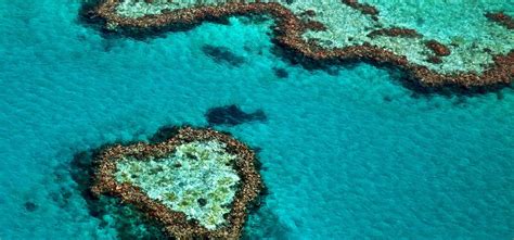 Heart Reef Great Barrier Reef Exclusive Getaway