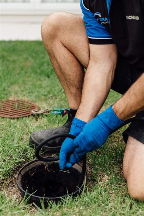 Alpha Drain And Sewer Unblocking Services Auckland Alpha Drain