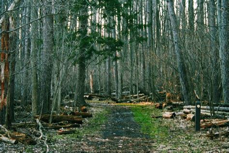 Oak Openings Preserve Metropark Lucas County Ohio This