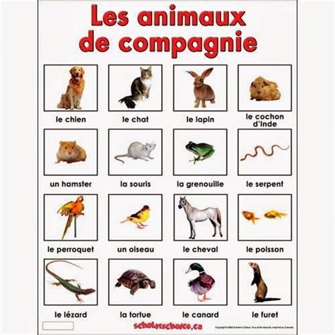 Décrire les animaux NOTREBLOGDEFLE