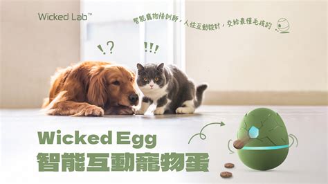 Backtail 【wicked Egg｜智能互動寵物蛋】全球首款智能獎勵專屬陪訓師，最疼愛的毛孩交給最懂毛孩的它！ 群眾集資趨勢分析