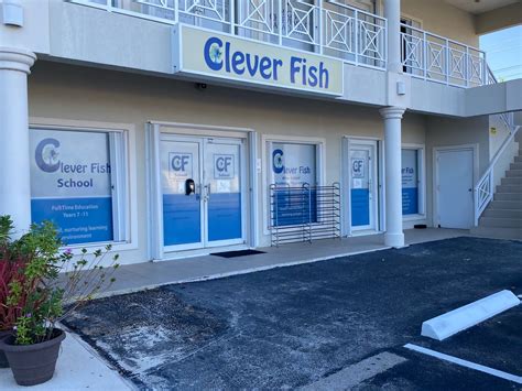 clever fish school