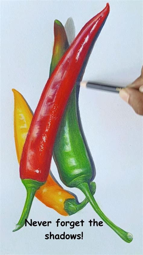 Realistic Colored Pencil Drawing Tips For Beginners