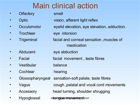 12 Cranial Nerve Examination