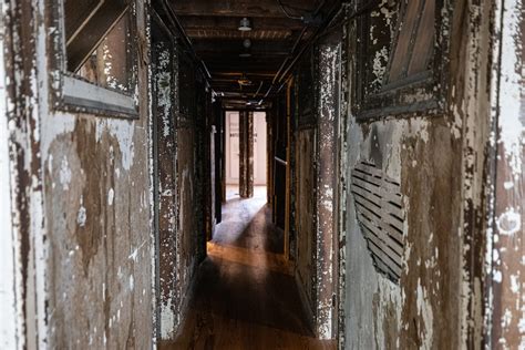 New digital streaming will soon bring you inside the schermerhorn