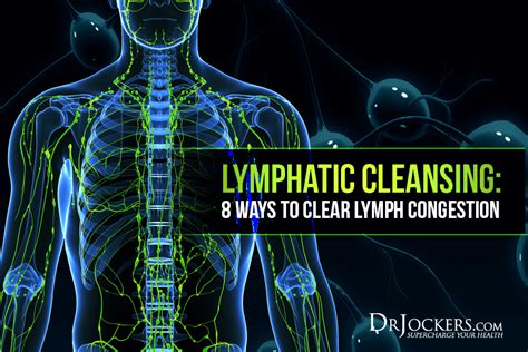 Lymphatic Cleansing Ways To Clear Lymph Congestion Artofit