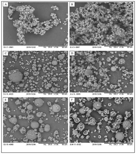 Processes Free Full Text Encapsulation Of Formosa Papaya Carica