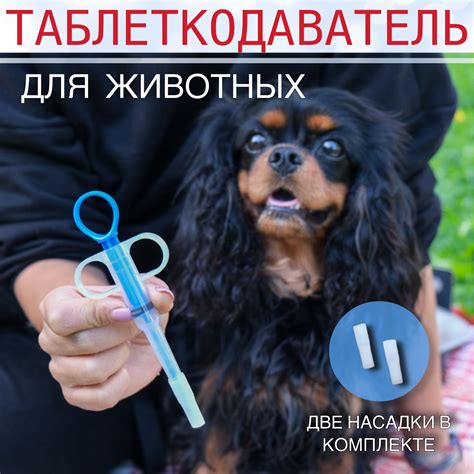 Таблеткодаватель купить на OZON по низкой цене