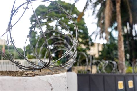 Wall Mounted Barbed Wire Fence For Safety Protection Stock Photo