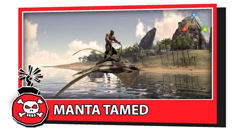 ARK Survival Evolved HOW TO TAME A MANTA In PATCH 239 S2E42 YouTube