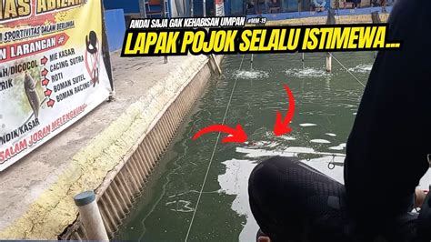 IKAN SAMPAI PADA NONGOL BEGINI PMC ABIZAR JAKBAR MM19 YouTube