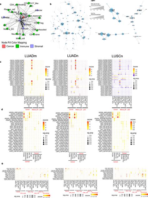 Cell And Gene Interaction Networks A The Cellular Interaction Network Download Scientific