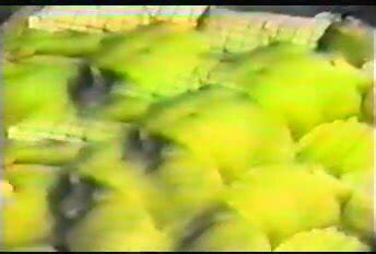 No Mask Japanese Gay Chubby Daddy ThisVid