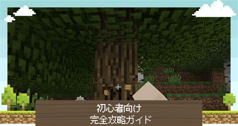 【マイクラjava版統合版】サバイバル攻略チャート｜初心者向け完全攻略ガイド【minecraft】 攻略大百科