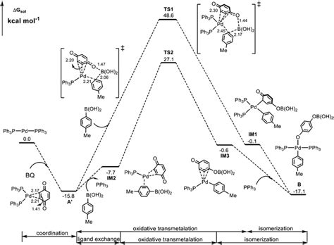 Dft Computational Insight Into Pd Catalyzed Oxidative Cross Coupling