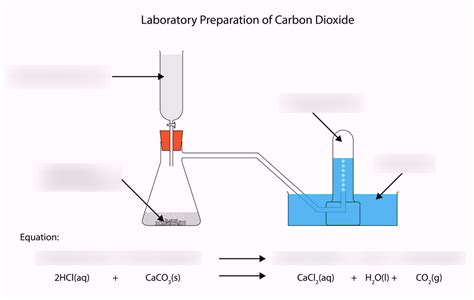 Laboratory Preparation Of Carbon Dioxide Diagram Quizlet