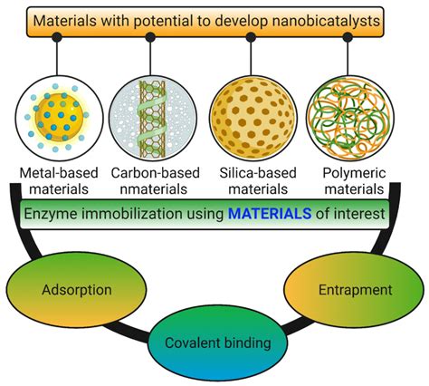 Methods For Enzyme Immobilization In Different Types Of Nanomaterials