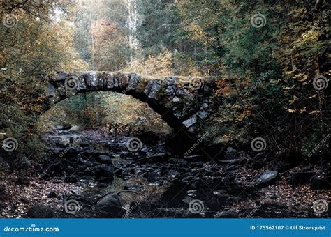 Arch Stone Bridge In Forest Stock Image Image Of Stream Elmhult