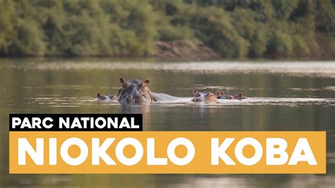 Senegal Visite Du Parc Naturel Niokolo Koba Youtube