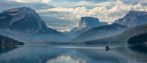 Winners of the 2020 World Nature Photography Awards - The Atlantic