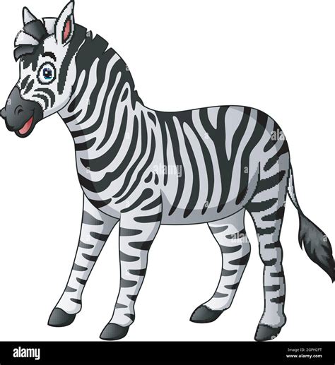 Vector Illustration Of Cute Zebra Cartoon Stock Vector Image And Art Alamy