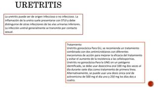 Infecciones Urol Gicas En Medicina Pptx