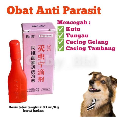 Jual Obat Tetes Anti Kutu Tungau Caplak Kucing Anjing Ampuh Shopee