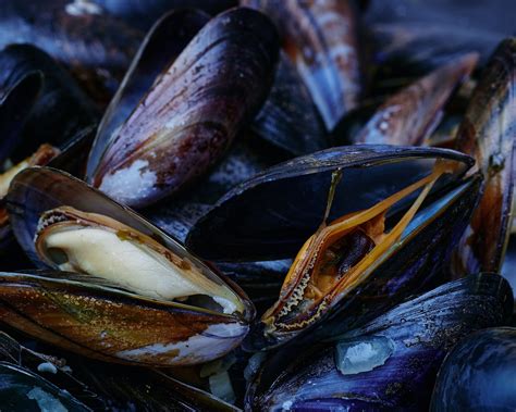 Cyril Lignac Partage Ses Meilleures Recettes De Moules