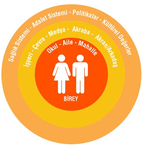 Toplumsal Cinsiyet Nedir Nas L Renilir