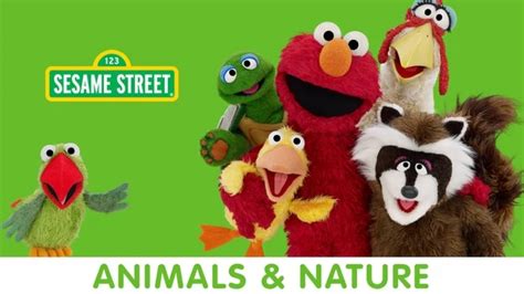 Watch Sesame Street Animals And Nature Season 1 Episode 4 Elmo Finds