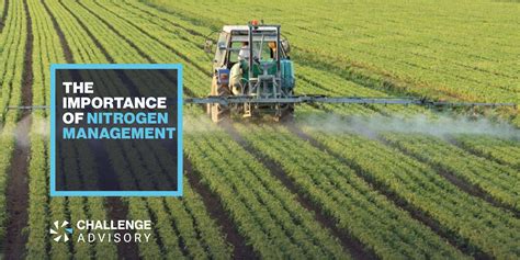 Nitrogen Management In Today S Ag Challenge Advisory